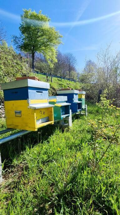 Апартаменты Bee Freeride Biker House Magliolo Экстерьер фото